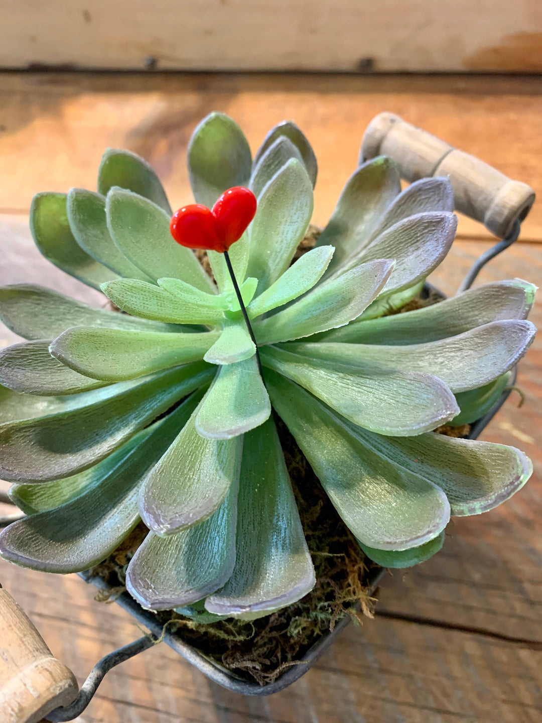Heart Plant Stick: Red Glass