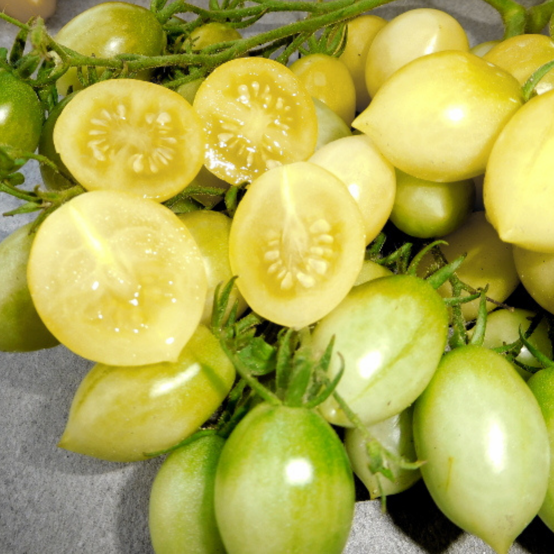 Seeds Crazy Cherry Tomato