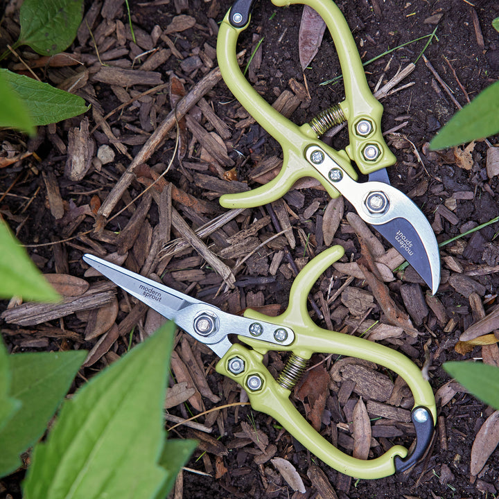Garden Shears : Chartreuse