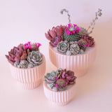 Presley Pedestal Planter - Ballerina 4.5 inch