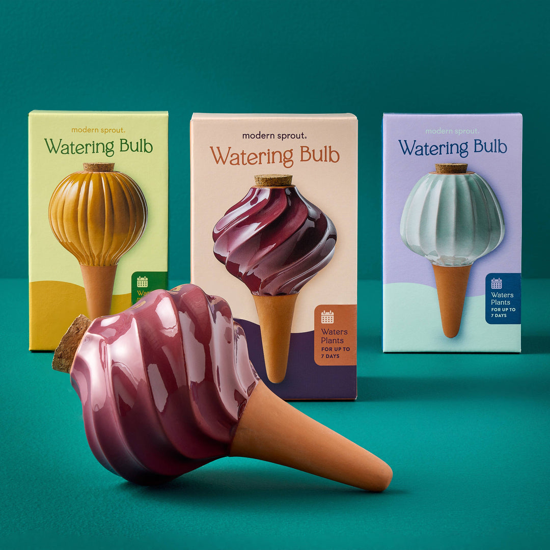 Terracotta Watering Bulb: Sage
