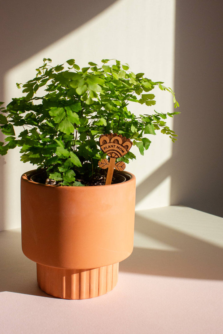 Plant Mom Wood Floral Plant Pick