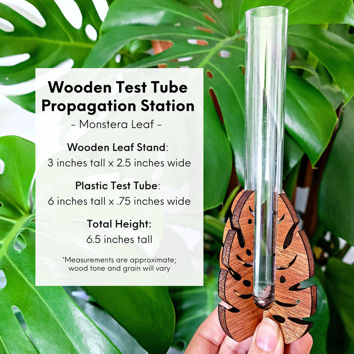 Test Tube Propagation Station Monstera Test Tube Holder