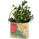 Cupid's Just Here For The Chaos Small Bucket