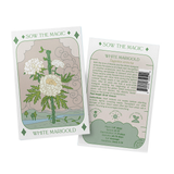 Seeds White Marigold Tarot Art Packet