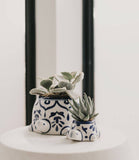 Lalita Mama Turtle Succulent Planter - Hand Painted