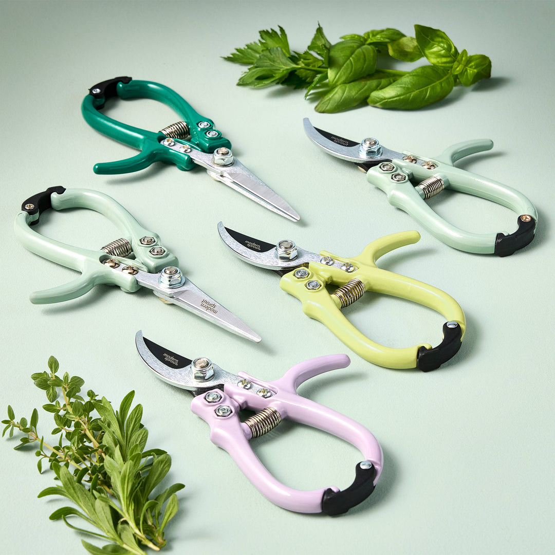 Garden Shears : Sage