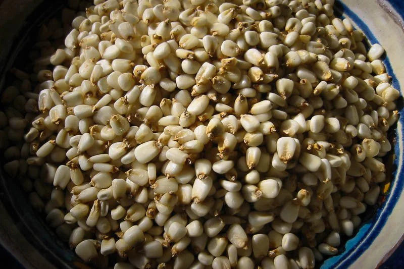 White Corn Posole/Hominy