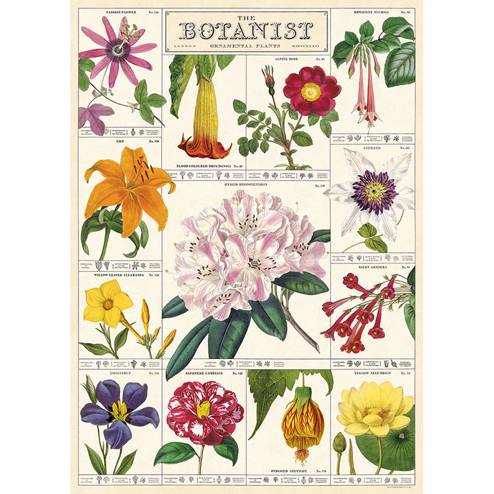 Botanical Poster Wrap