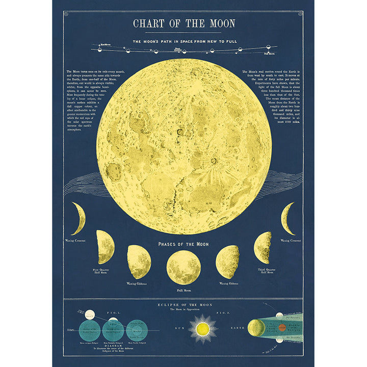 Science &amp; Education Poster Wrap
