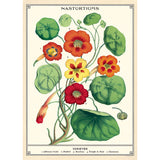 Botanical Poster Wrap