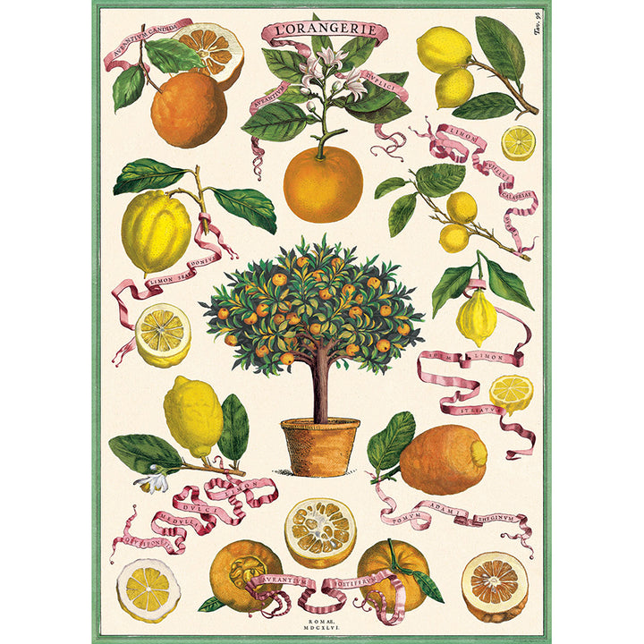 Botanical Poster Wrap