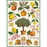 Botanical Poster Wrap