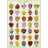 Botanical Poster Wrap