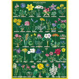 Botanical Poster Wrap