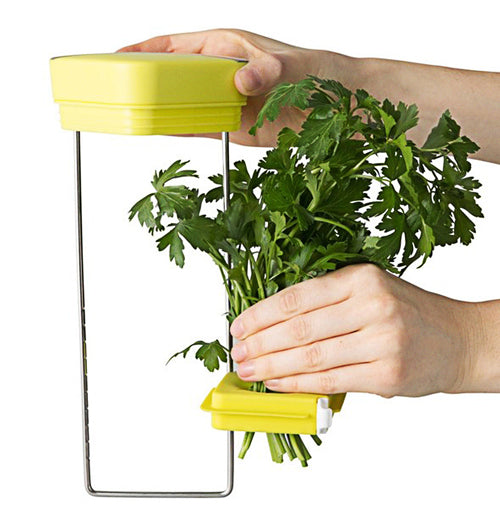 Green herbs are put in the holder in the middle of the metal frame below the yellow lid.