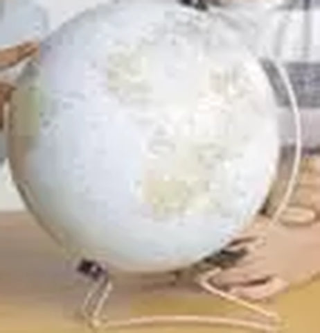 Globe Puzzle Ball