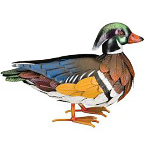 Wood Duck