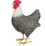 Murray Hen And Rooster Decor