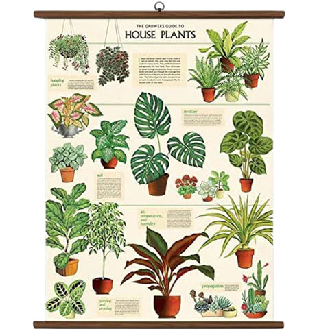 A beige chart entitled "The Grower's Guide To House Plants" with a brown border on the top and bottom. Plants with varying shades of green pink, purple, red, and white are in orange pots, with paragraphs next to them with information.