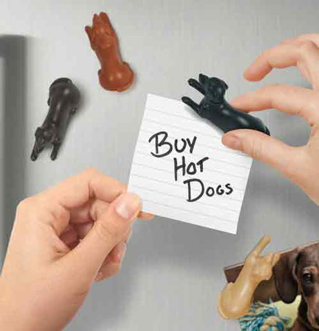 Hands holding a black "Magnetipup" putting a white paper on the fridge with Buy Hot Dogs written on it. A black and red dog "Magnetipup" are placed on the fridge.