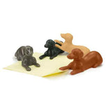 Red, yellow, gray, and black dog shaped magnets holding down a piece of yellow paper.