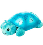 "Tranquil Turtle"