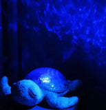 "Tranquil Turtle"