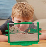 Ant Farm