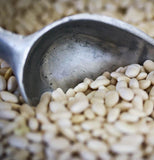 Ayocote Blanco Beans