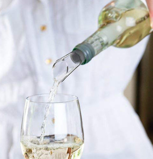 Chill Bottle Stopper &amp; Pourer