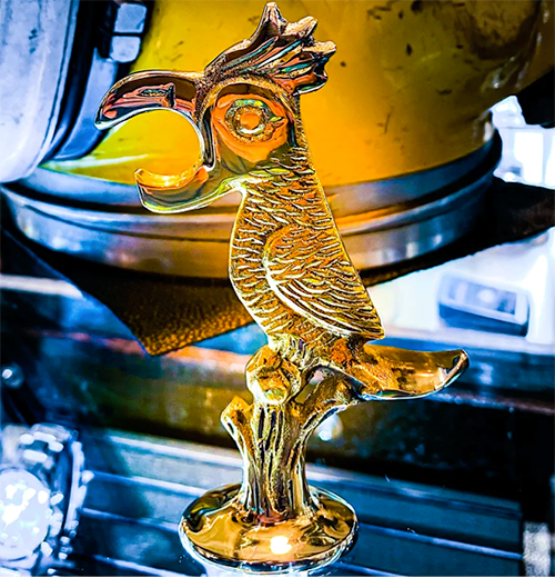 "Parrot Bottle Opener"