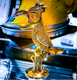 "Parrot Bottle Opener"