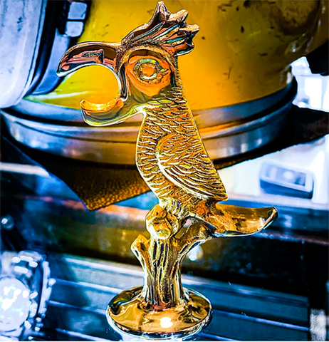 "Parrot Bottle Opener"