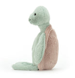Bashful Turtle