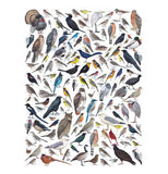 Birds of Western North America 1000-Piece Puzzle