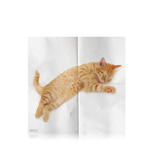 Cat Napkins