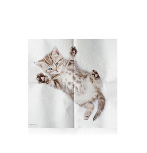 Cat Napkins