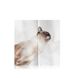 Cat Napkins