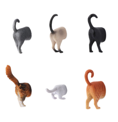 Six cat butt magnets in two rows.