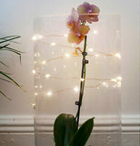 The lights are shown wrapped around both a transparent cylindrical object and a tall flower.