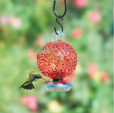 Hummingbird Feeder, Dew Drop