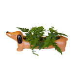 Daisy The Dachshund Planter