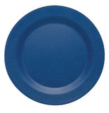 Dark blue plate.