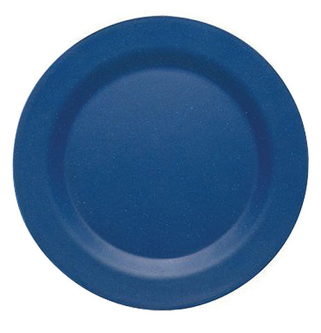 Dark blue plate.