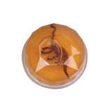 Dinosaur Fossil Putty