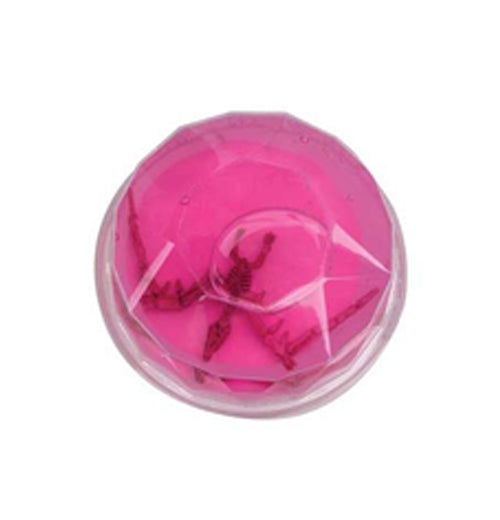 Dinosaur Fossil Putty