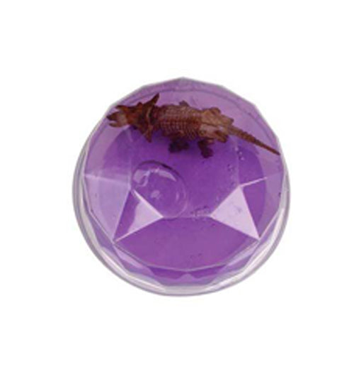 Dinosaur Fossil Putty