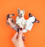 Dog Nail File