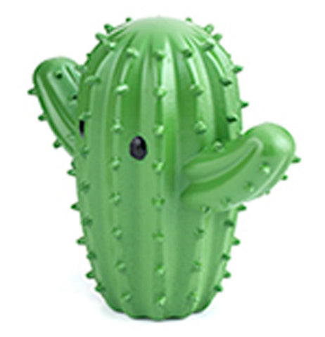 A small, green, spiky cactus.